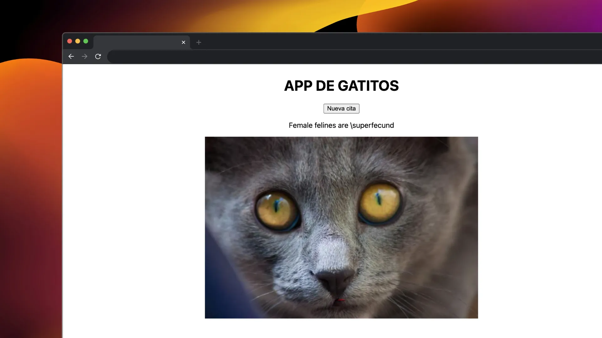 Captura de la prueba técnica para el puesto de Trainee-Junior